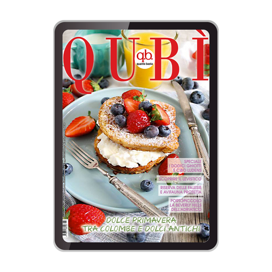 qbquantobasta aprile 2025 edizione digitale